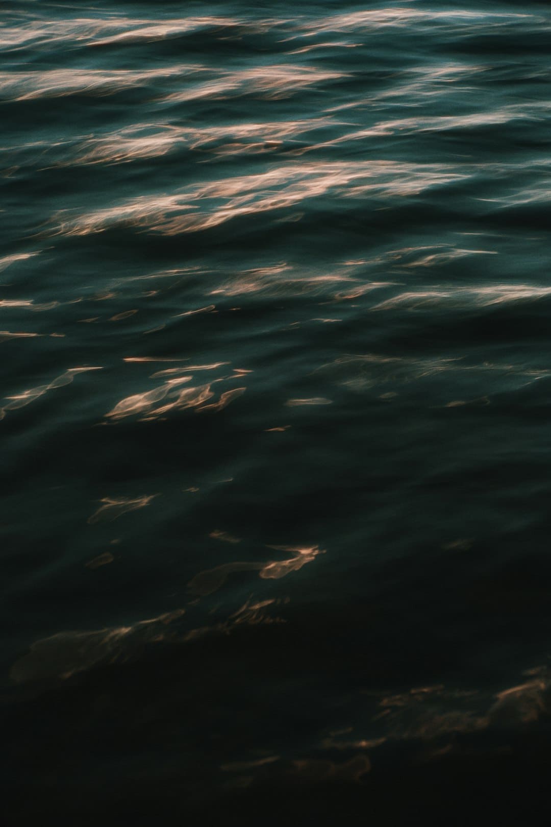 http://n.sinaimg.cn/news/transform/w600h400/20180311/l30n-fxpwyhw9142126.jpg?zdy